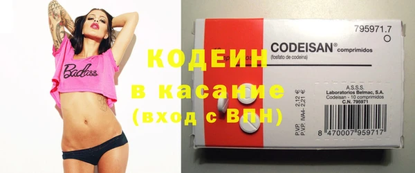 шишки Белоозёрский