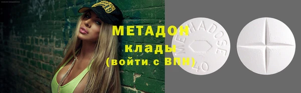 шишки Белоозёрский