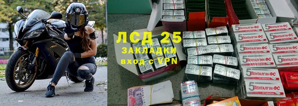 шишки Белоозёрский