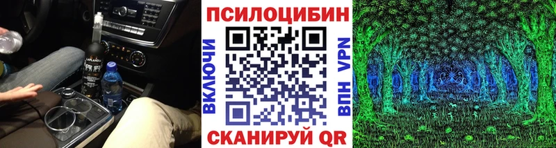 Галлюциногенные грибы мицелий  Купить  Кирс 